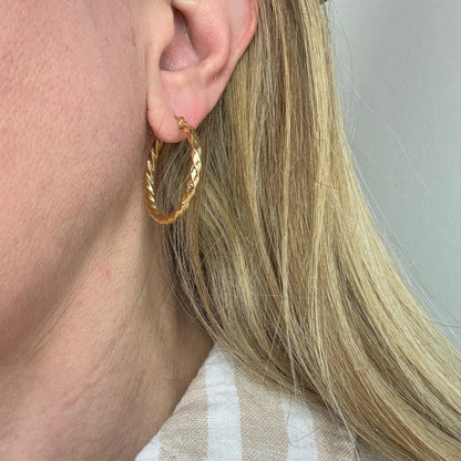 14k Solid Yellow Gold Mid-size Classic Twisted Hoop Earrings, 1.82 g